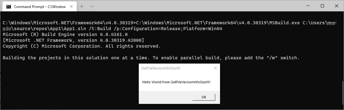 `GetFileVersionInfoSizeW` executed as part of MSBuild.